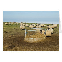 Ladies retiring after lunch greeting cards