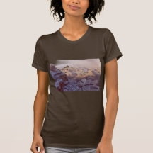 Ladies T / Grand Canyon Winter T Shirt