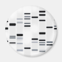L'ADN codent le noir d'art sur le blanc Magnets
