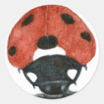 lady bird bug stickers
