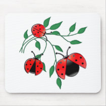 Lady Bug, Lady Bugs