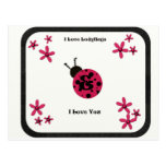 Lady Bug Love Post Card