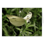 Lady Butterfly Greeting Cards