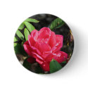 Lady Elise May 037 buttons