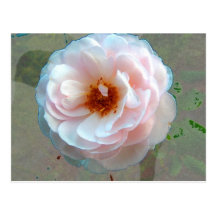 Lady Flower of the Floating World Post Card