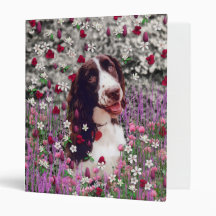 Lady in Flowers - Brittany Spaniel Dog Binder