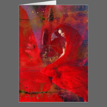 Lady in Red cards