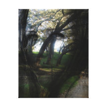 Lady of the Trees Stretched Canvas Print