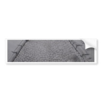 Lady on the rock,Brick road Bumper Stickers