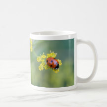 lady on top mug