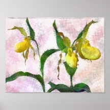 Lady slipper orchid - print