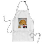 LADY WITH RED ROSE APRONS