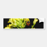 ladybird bumper sticker