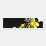ladybird bumper sticker