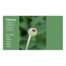 Ladybird Business Card