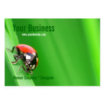 Ladybird Business Card Template