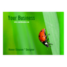 Ladybird Business Card Templates