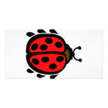 Ladybird Cartes De Vœux Avec Photo