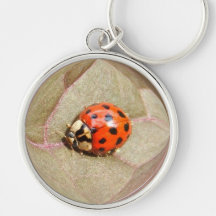 Ladybug 226 ~keychain 2