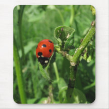 Ladybug and Aphids Mouse Pad