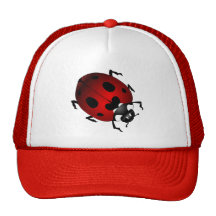 Ladybug  Art Caps Hats Ladybug Wildlife Art Hat
