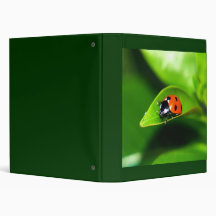 Ladybug Binder