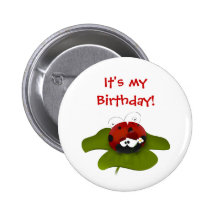Ladybug Birthday Button