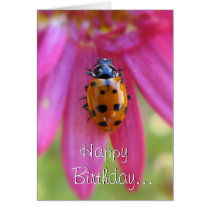 Ladybug Birthday Card cards