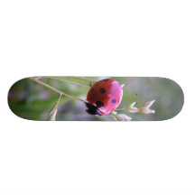 Ladybug board skate deck