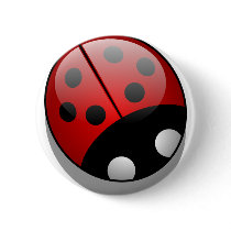 Ladybug Buttons