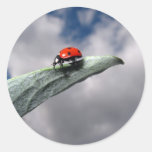 Ladybug Calm Before the Storm Sticker