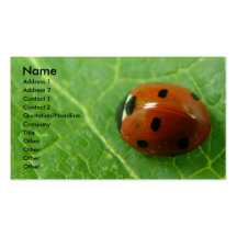 Ladybug Customizable Business Card