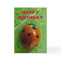 Ladybug Customizable Greeting Card