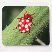 LadyBug Gifts for Buglovers & Gardeners Mouse Pad