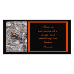 Ladybug Kisses Photo Card