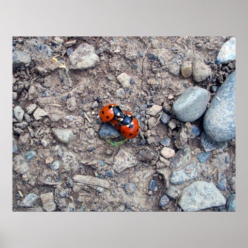 Ladybug Kisses Print