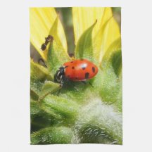 Ladybug Kitchen Towel