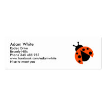 Ladybug ladybird business cards