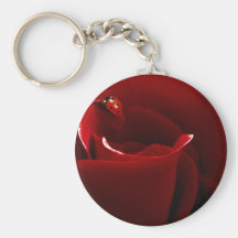Ladybug Love Keychains