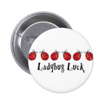 Ladybug Luck Pins