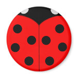 Ladybug Magnets