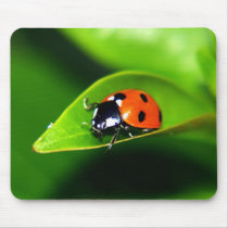 Ladybug Mouse Pad