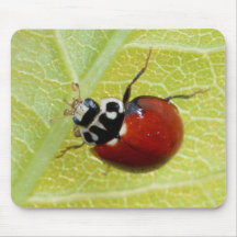 Ladybug Mousepads