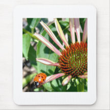 Ladybug Mousepads