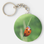 Ladybug on a blade of grass Keychain