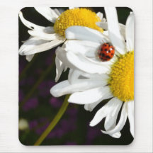 Ladybug on a Daisy Mousepad