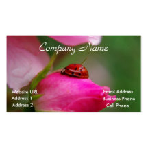 Ladybug on a rose business card