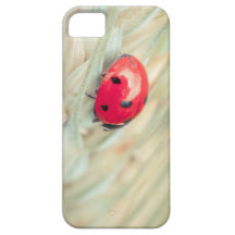 Ladybug on a spike iPhone 5 covers