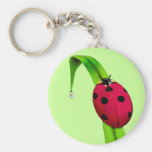 Ladybug on Grass Keychains