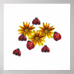 Ladybug Party Poster